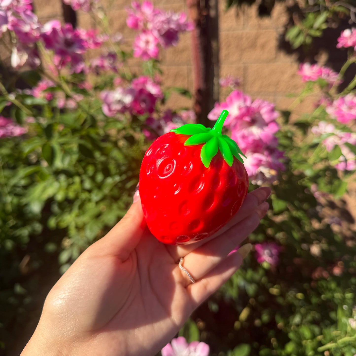 Strawberry  Crunchy Squishy
