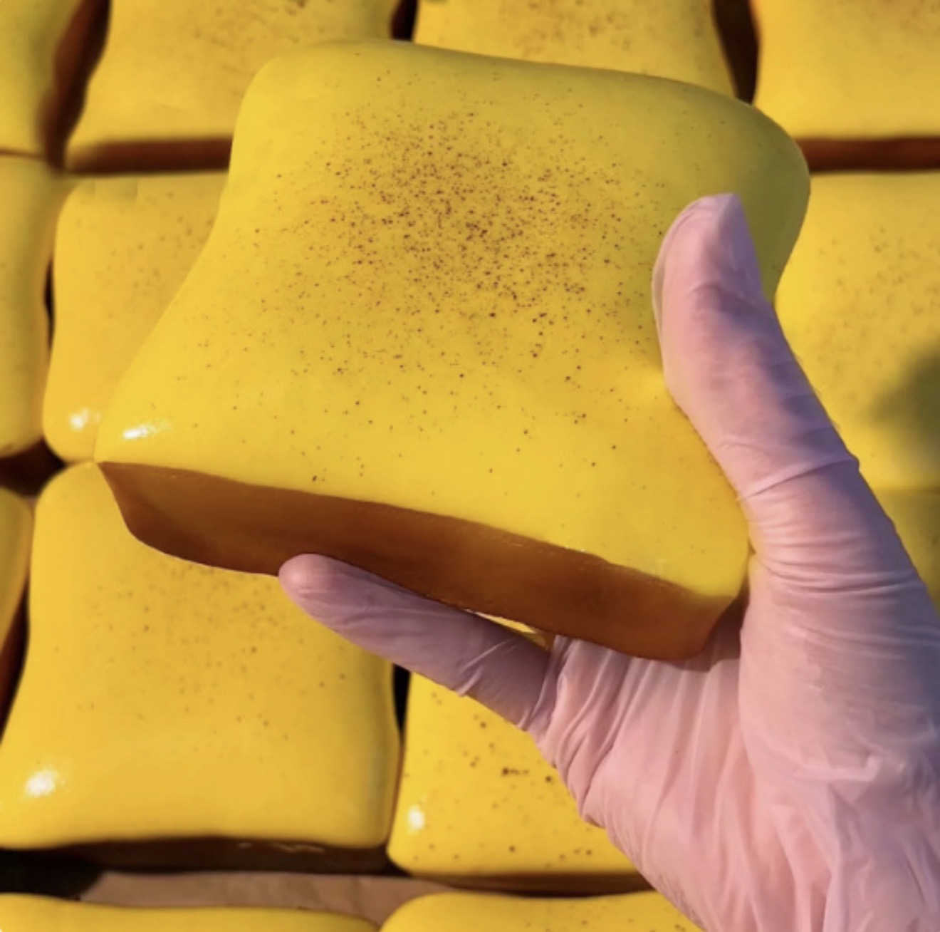 Super Soft Toast (slow rise)