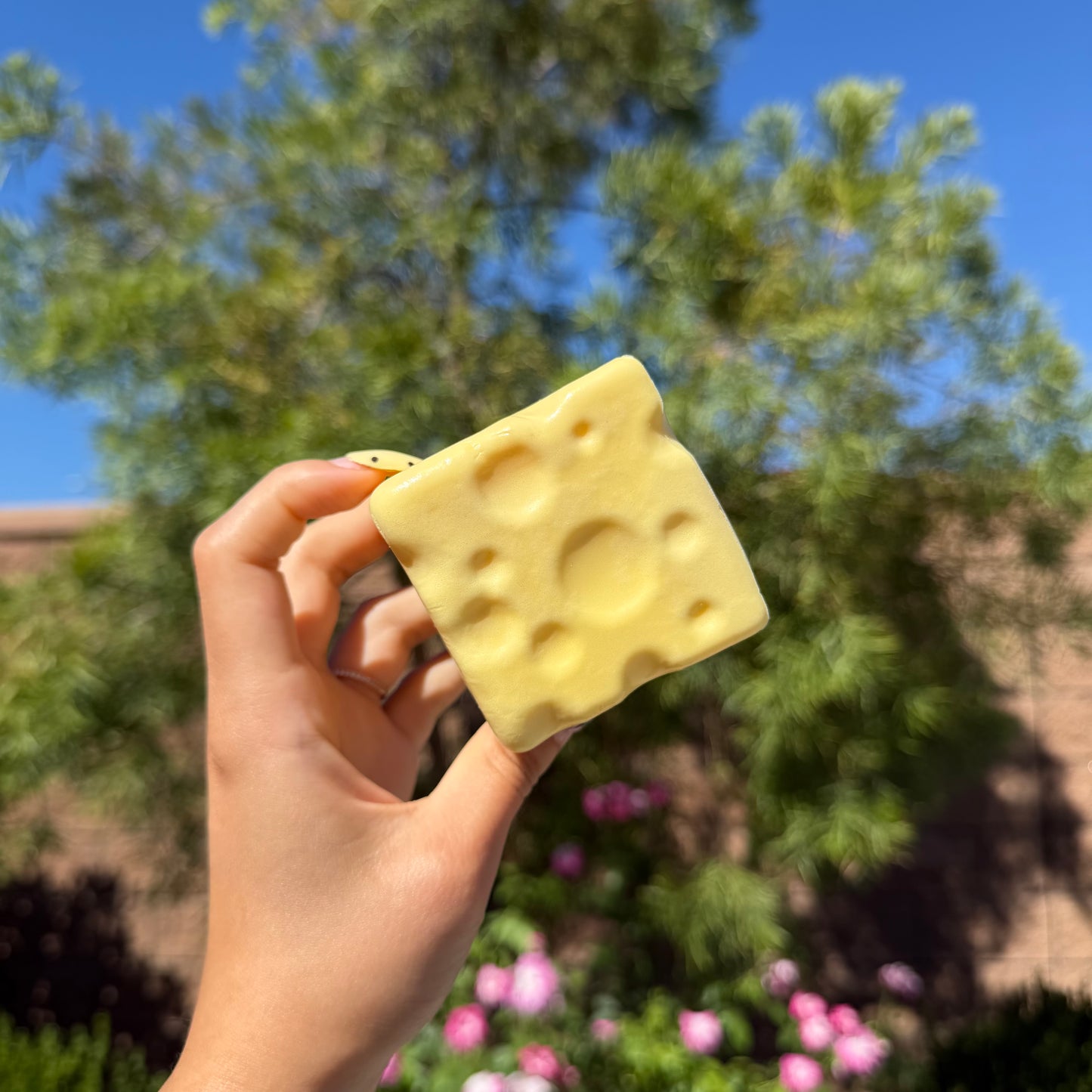 Small Cheese Squishy (slow rebound)