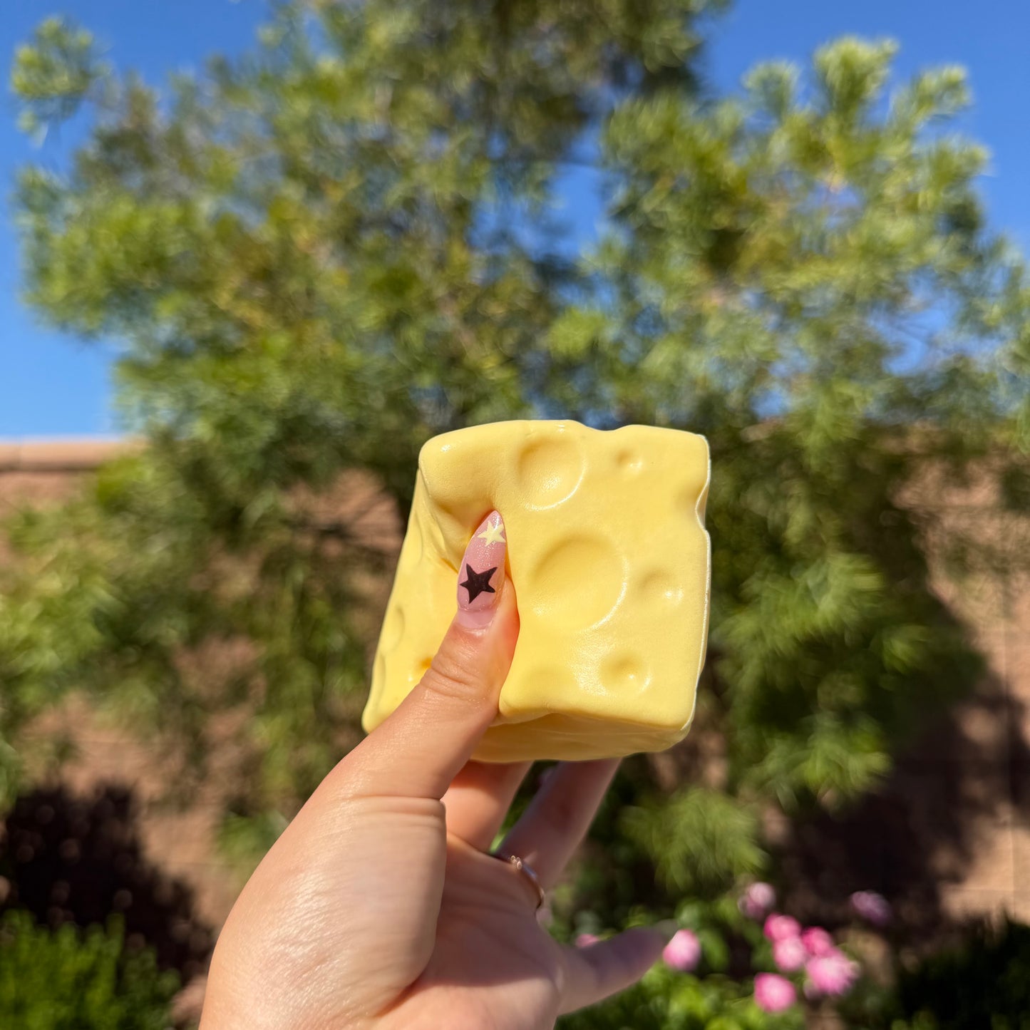 Small Cheese Squishy (slow rebound)